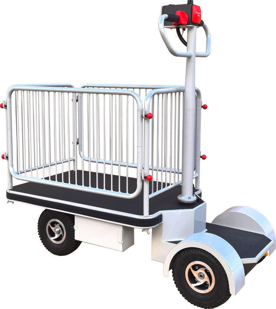 Plateforme motorisée à conducteur autoporté avec barrières 400 kg