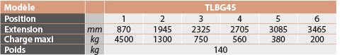 Potence télescopique 4500 kg